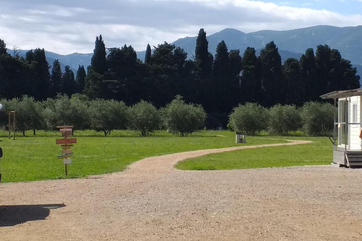 Le Mas Del Cargol Palau-del-Vidre Esterno foto