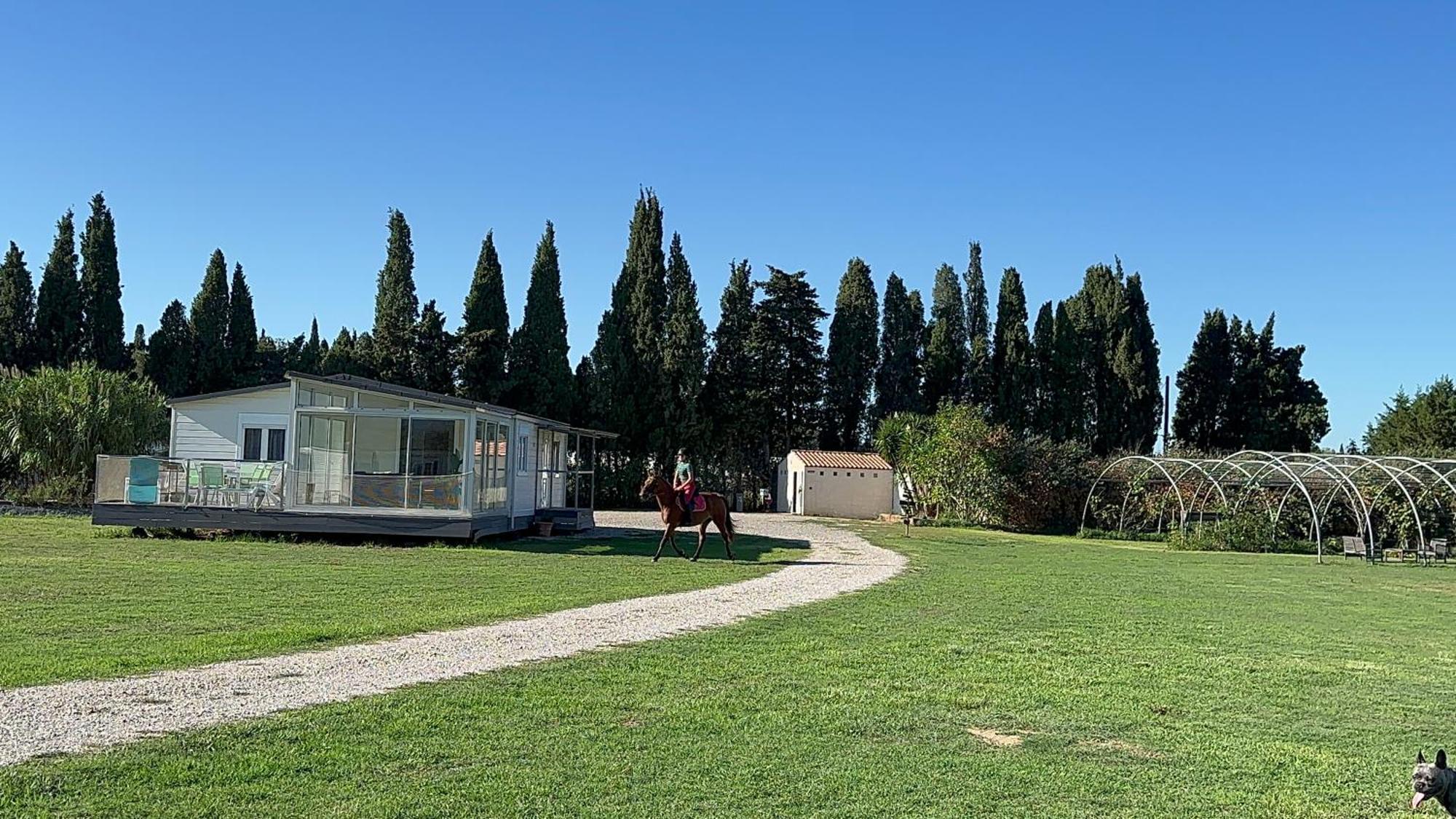 Le Mas Del Cargol Palau-del-Vidre Esterno foto