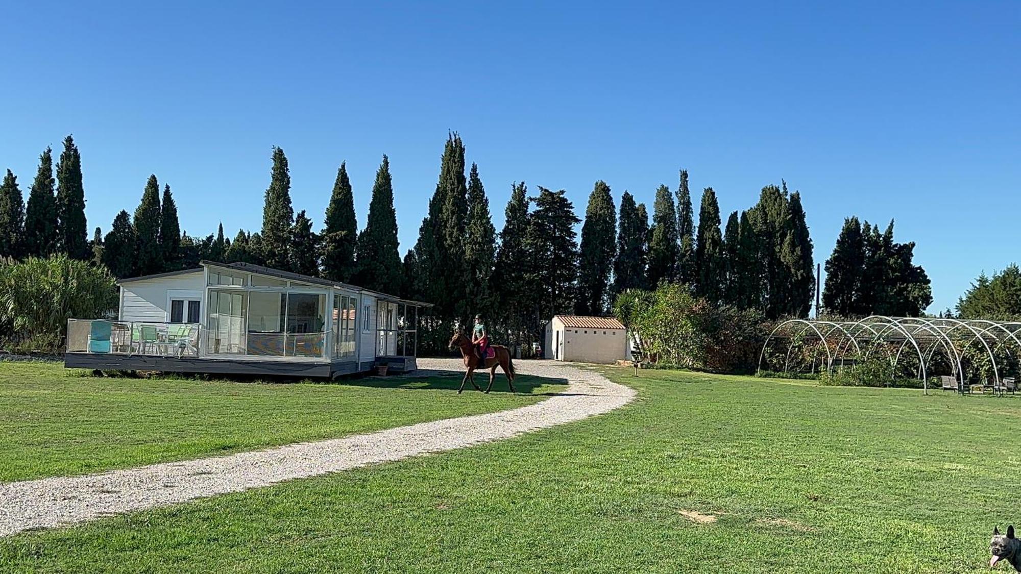 Le Mas Del Cargol Palau-del-Vidre Esterno foto